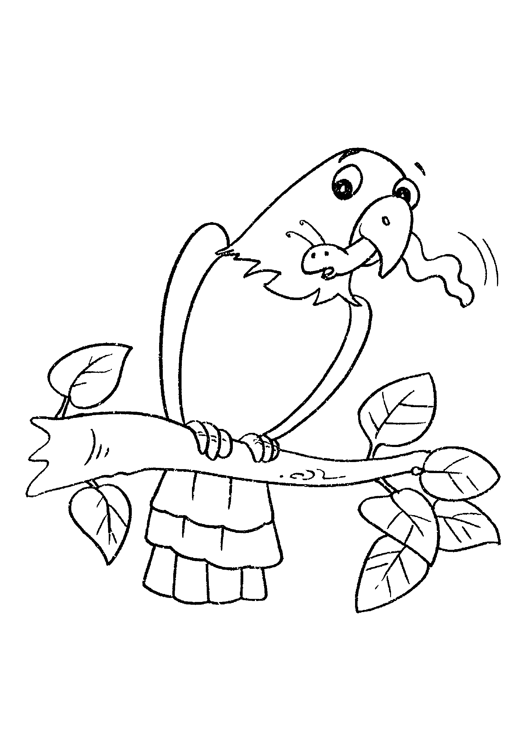 Desenho de papagaio se alimentando