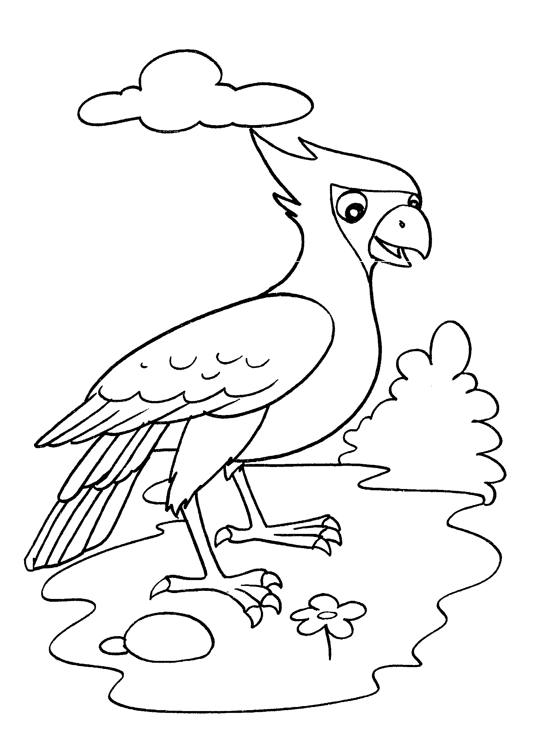 Desenho de pássaro
