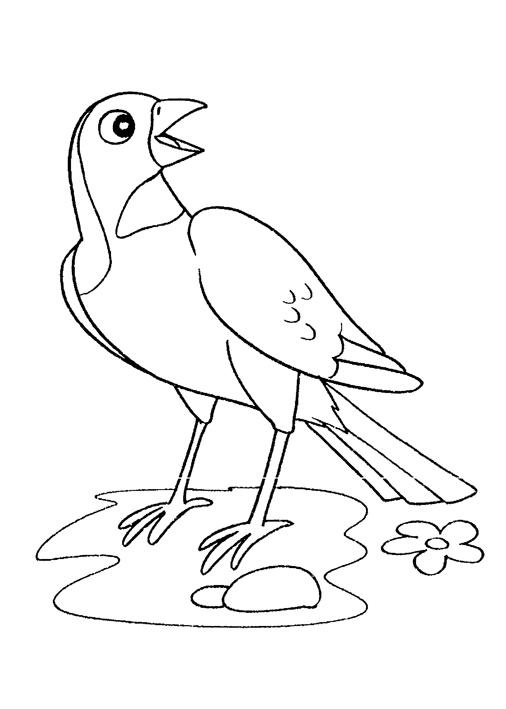Desenho de pássaro