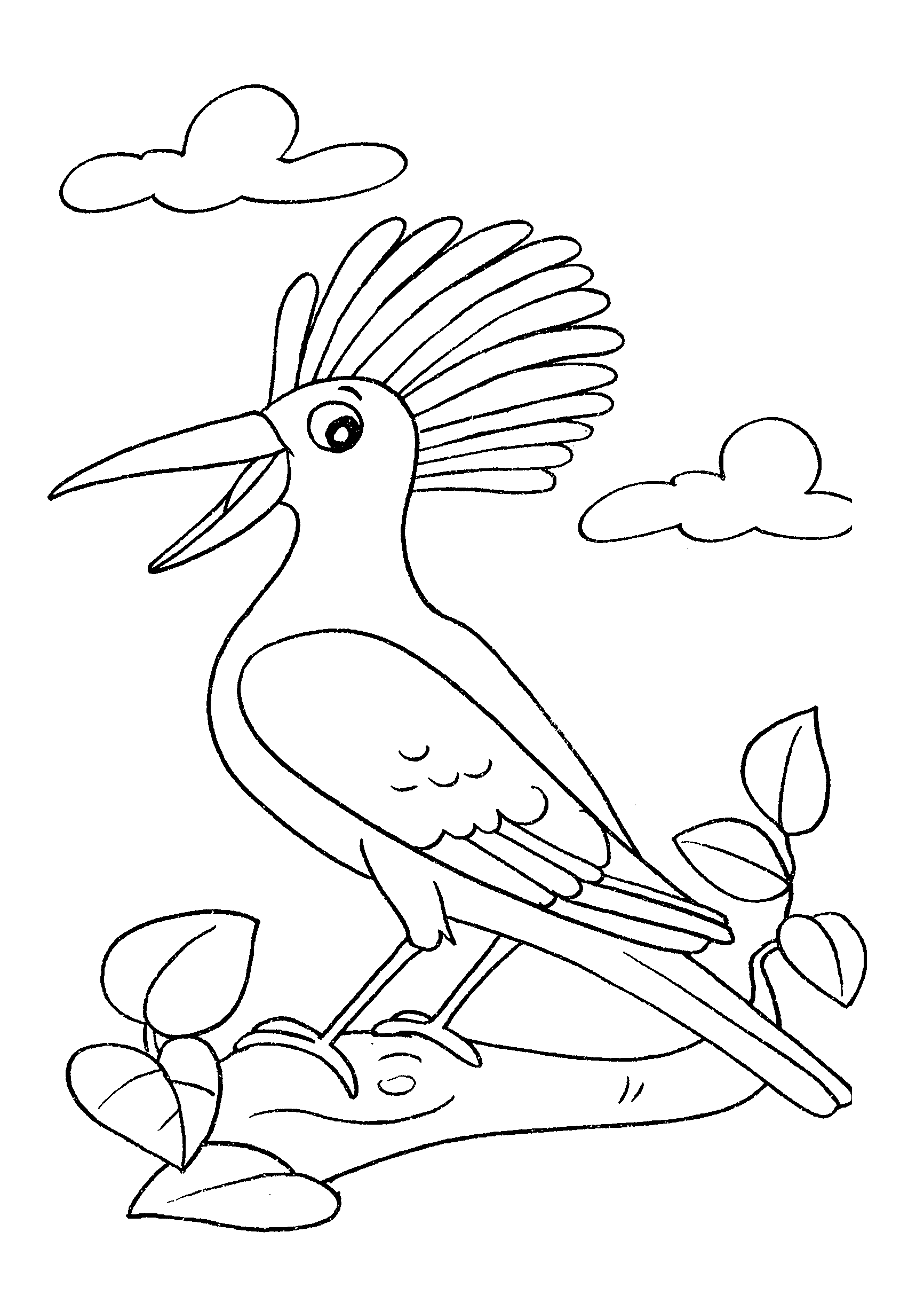 Desenho de ave